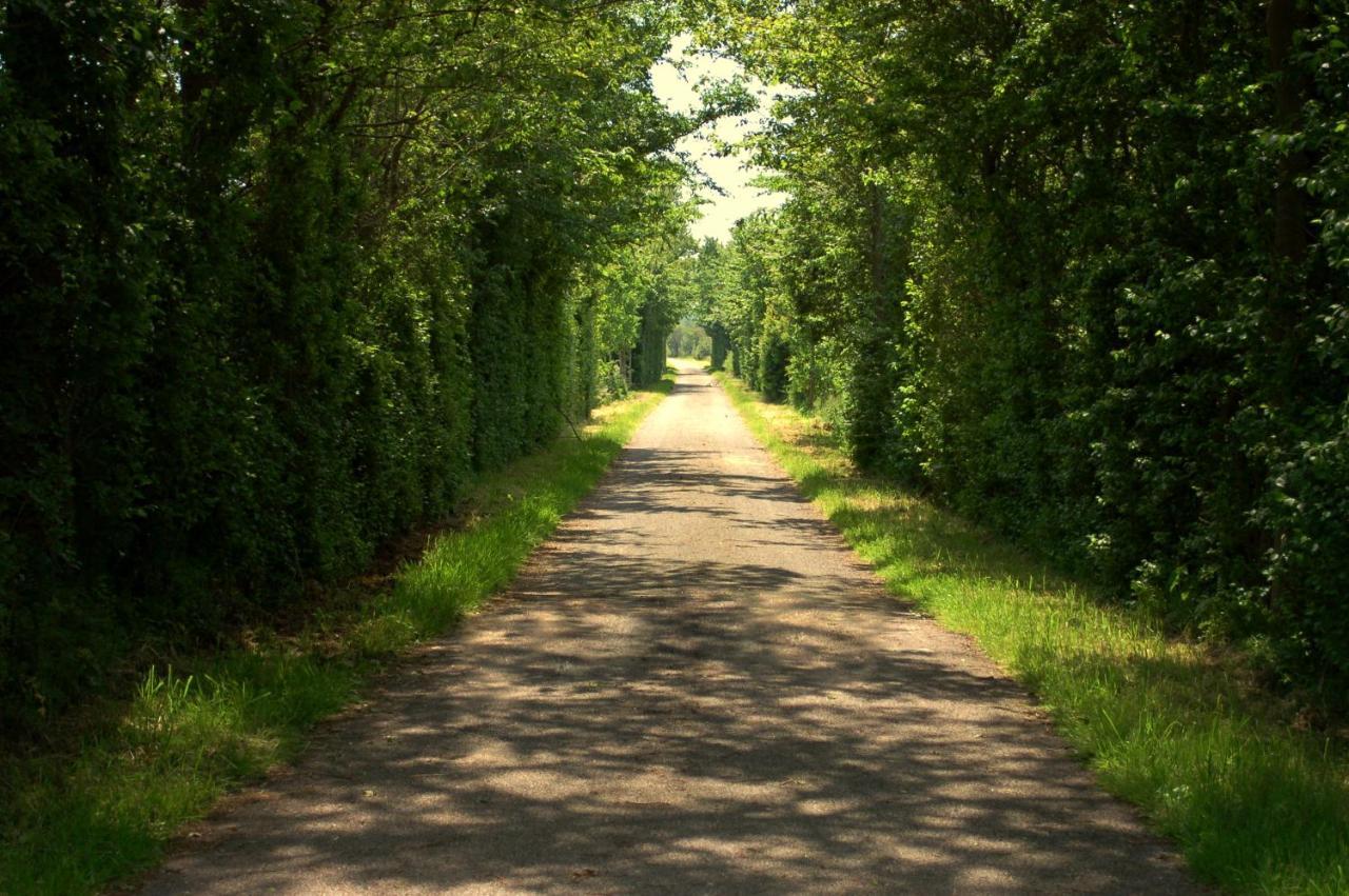 Vita Nova Hippolytushoef エクステリア 写真